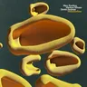 Metamorfosa by Marc Romboy cover art
