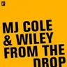 Angel Riddim by MJ Cole cover art