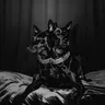 No One Should Walk Alone cover art