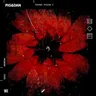 Fracture cover art