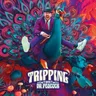Trip to Norway by Dr. Peacock cover art