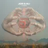 I Wish by Jos & Eli cover art