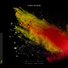 Bird Feeder (extended mix) by Tinlicker cover art