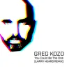 You Could Be the One - Larry Heard Vocal Remix Reworked by Larry Heard cover art