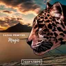 Magic cover art