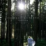 Running cover art