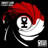 License to Groove cover art