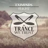 Flight cover art
