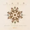 Celebration Santoor - Laroz & T-Puse Remix cover art