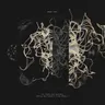 All Forms Are Unstable - Delhia de France’s Trust Rework by Delhia de France cover art