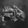 Nature cover art