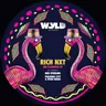 Mr Flamingo by Rich NxT cover art