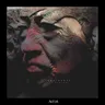 The Owl (Bongani remix) cover art