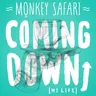 Coming Down (Hi-Life) - Extended cover art