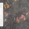 Lately by Rufus Du Sol cover art