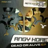Less Than 5 Minutes - Original Mix by AnGy KoRe cover art