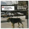 I Never Knew (S-Man's R-Senal dub) by Roger Sanchez cover art