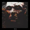 Fly cover art