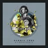 Hydroponic - Reda Dare Remix cover art