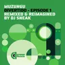Divertido - DJ Sneak Beats Mix cover art