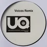 Voices - Original cover art
