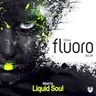 Land of Freedom (Liquid Soul radio edit) by Liquid Soul cover art