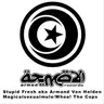 Magicalsexualmule by Armand Van Helden cover art