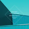 Wasted Youth - Alan Wools Remix cover art