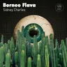 Borneo cover art