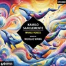 Whale Voices - Nicolas Viana Remix cover art