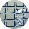 Shimmer by Sobek cover art