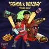 Don't Know Why by Voltage cover art