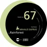 Rainforest by Mihalis Safras cover art