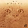 Cygnus - Original Mix cover art