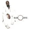 Happiness by Black Coffee cover art