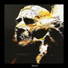 Surroundings cover art