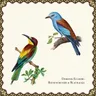 Blauracke cover art