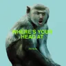 Where’s Your Head At - 1991 Remix by Basement Jaxx cover art