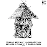 Resurrection - Reinier Zonneveld 2020 Remix by Reinier Zonneveld cover art