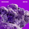 Bring It Back by Sam Shure cover art