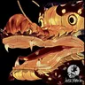 Moho cover art