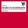 The Last Pluck (Orjan Nilsen Remix) by Marcus Schössow cover art