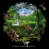 Der Tanz Der Gluehwuermchen by Dominik Eulberg cover art