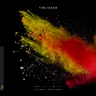 Bird Feeder - Club Edit cover art