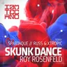Skunk Dance - Original Mix cover art
