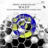 Wasp (Alberto Ruiz Remix) by Oscar L cover art