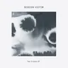 Guidance by Session Victim cover art
