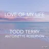 Love of My Life - Tee's Mix by Todd Terry cover art