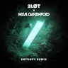 Entropy - Paul Oakenfold Remix cover art