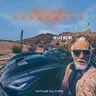 Do You Remember (Vintage Culture remix) by Vintage Culture cover art